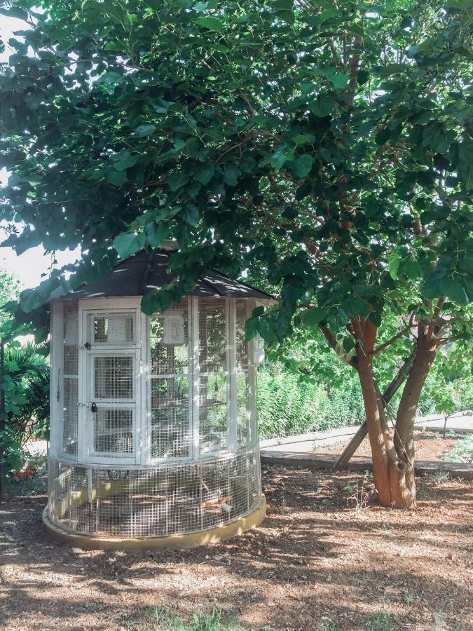 Agrilia Maison Razata Bagian luar foto